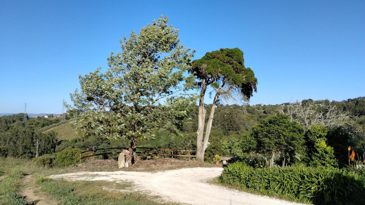 Quinta Do Oratorio Agroturismo 오비도스 외부 사진